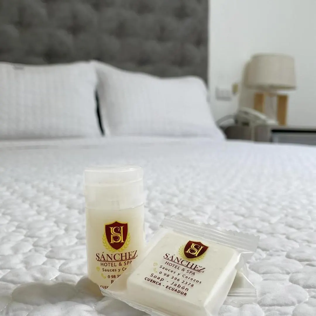 Sanchez Hotel & Spa By Chat Noir Cuenca