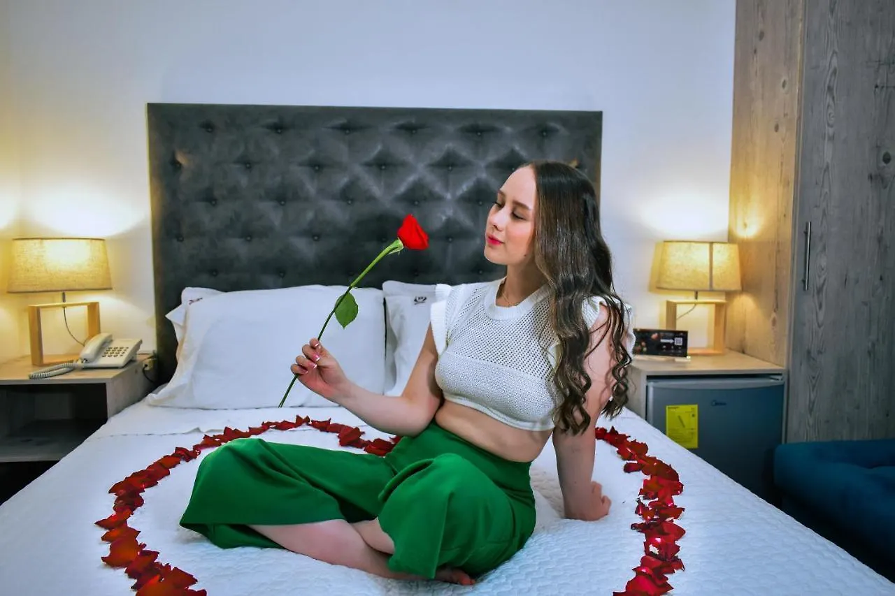 Sanchez Hotel & Spa By Chat Noir Cuenca